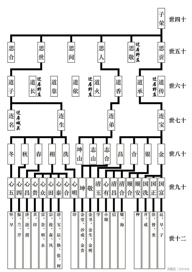 現代家譜設計