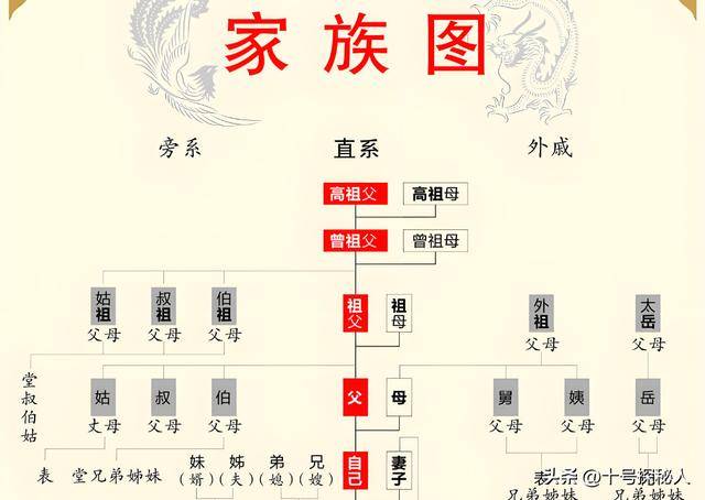 家谱树状图